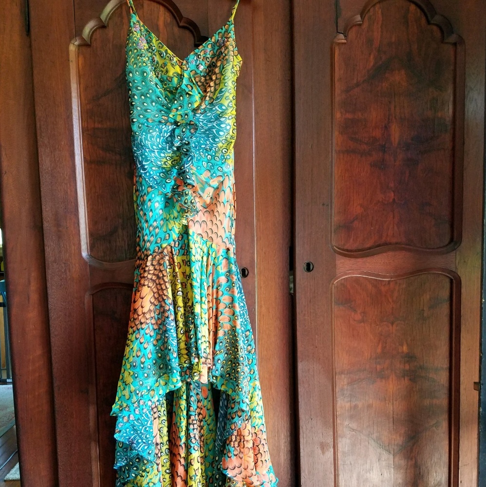 BCBG Max Azria prom dress peacock print high low